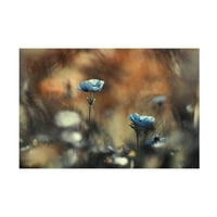 Фабиен Бравин „Нека цвеќињата владеат со светот“