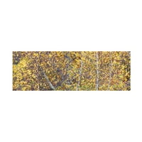 Jamesејмс Меклафлин 'Дрво панорама III' платно уметност