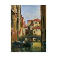 Трговска марка ликовна уметност „Венеција II“ платно уметност од Хол Гроат II