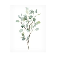 Грејс Поп 'Seaglass Eucalyptus i' Canvas Art