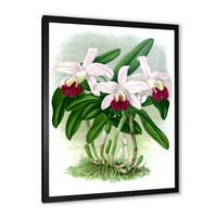 DesignArt 'Бело гроздобер орхидеја цвет i' традиционално врамен уметнички принт