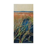 Трговска марка ликовна уметност „пастели мочуришта I“ платно уметност од Сузан Вилкинс