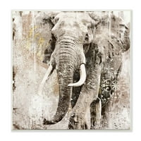 Слонови злато Неутрално животно текстура, врамени фотографии со уметност во уметност