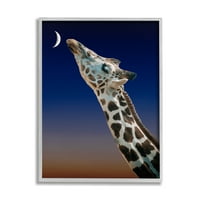 Tuphel Industries Giraffe Kissing Moon Nightime Suntset Убав портрет 30, Дизајн на постери на Ателје