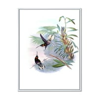 Античка колибри на гранка врамена сликарско платно уметнички принт