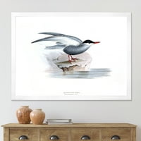 Дизајн на „Античка птица на Европа јас“ Традиционална врамена уметничка печатење