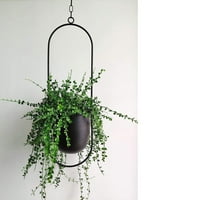 Креативна Висечка Саксија Од Ковано Железо, Хидропонски Растителен Цвет, Воздушен Приврзок